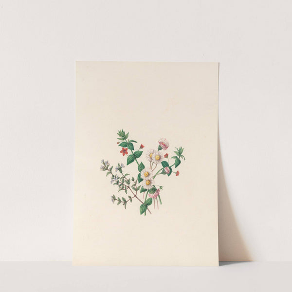 The fête of the flowers Pl.07 by Jane Elizabeth Giraud