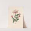The fête of the flowers Pl.09 by Jane Elizabeth Giraud