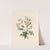 The fête of the flowers Pl.11 by Jane Elizabeth Giraud