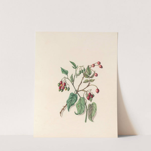 The fête of the flowers Pl.12 by Jane Elizabeth Giraud