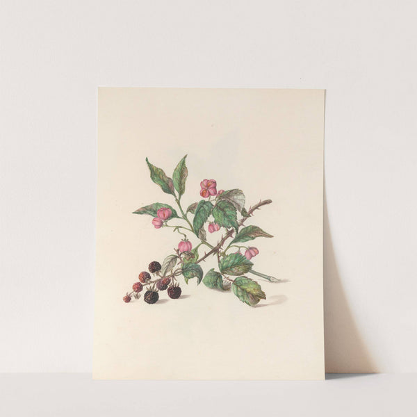 The fête of the flowers Pl.14 by Jane Elizabeth Giraud