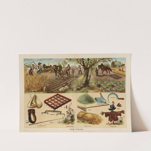 The Field by Frederick Warne & Co