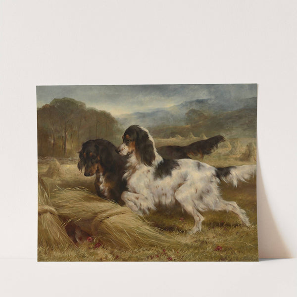 'The First of September' - An English Tricolour and a Gordon Setter with Partridge by Edwin Douglas