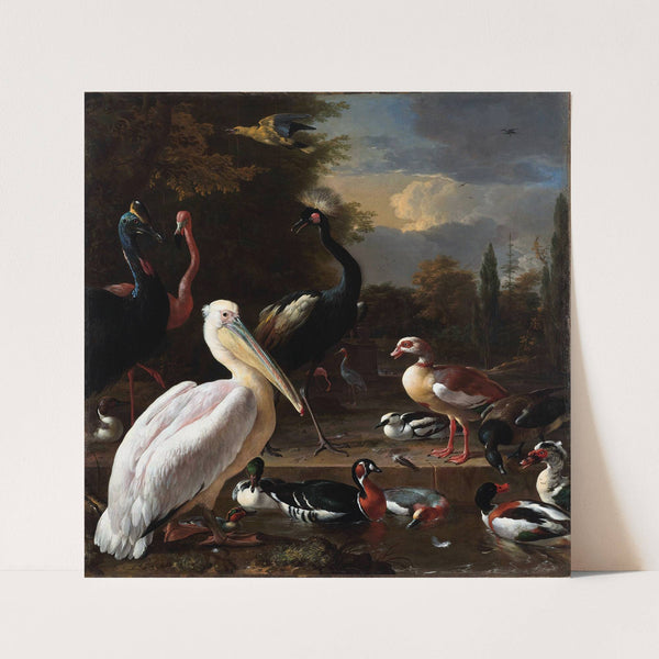 The Floating Feather (c. 1680) by Melchior d'''Hondecoeter