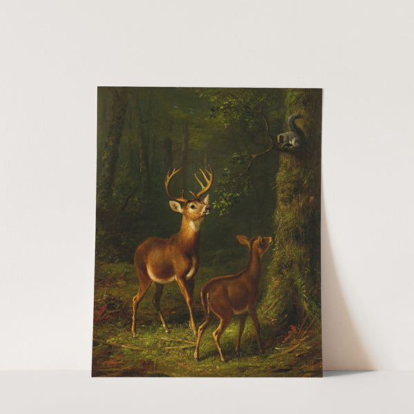 The Forest, Adirondacks (1885) by Arthur Fitzwilliam Tait