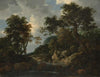 The Forest Stream