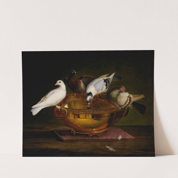 The Four Doves by Johann Wenzel Peter