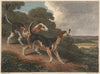The Fox Hound (1812)