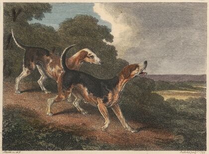 The Fox Hound (1812)