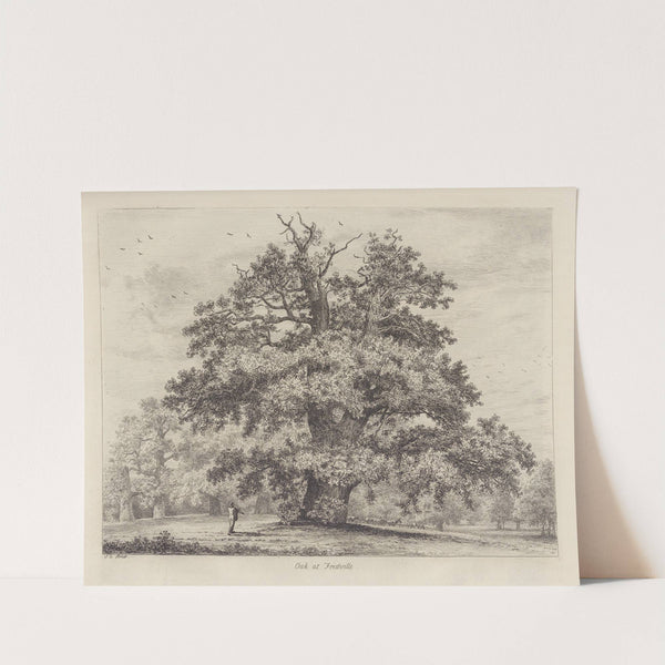 The Fredville Oak, Beauty by Jacob George Strutt