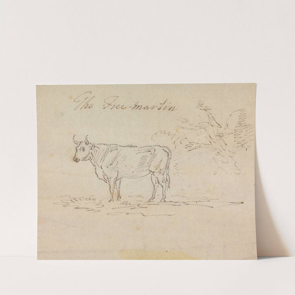 The Free-Martin by Sawrey Gilpin