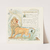 The Frightened Lion (1908) by Walter Crane
