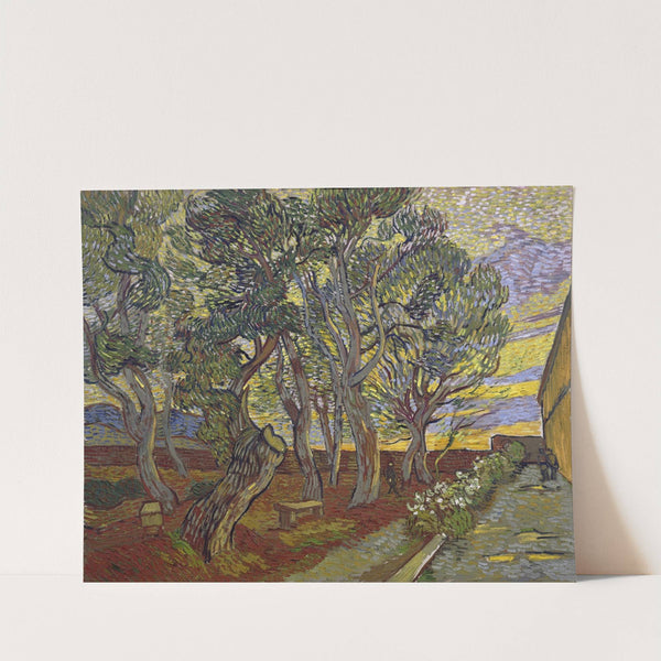 The garden of Saint Paul’s Hospital by Vincent van Gogh