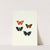 The genera of diurnal lepidoptera pl43 (1846-1852) by William Chapman