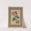 The Geranium by James Andrews