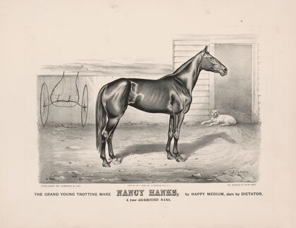 The grand young trotting mare Nancy Hanks, by Happy Medium, dam by Dictator (1890)