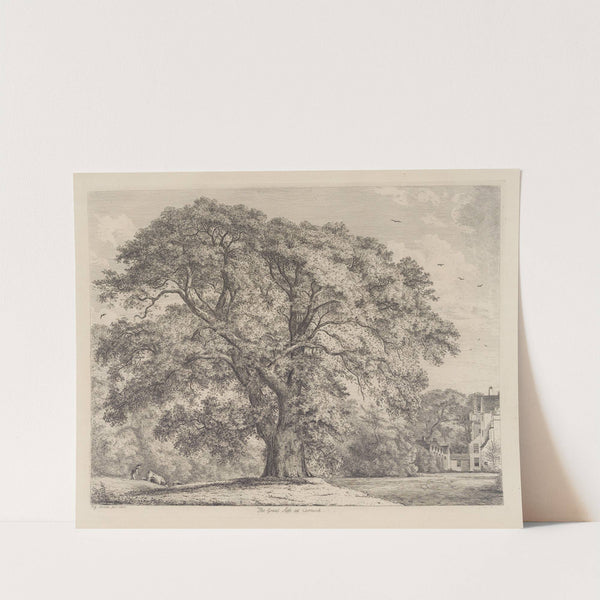 The Great Ash at Carnock by Jacob George Strutt