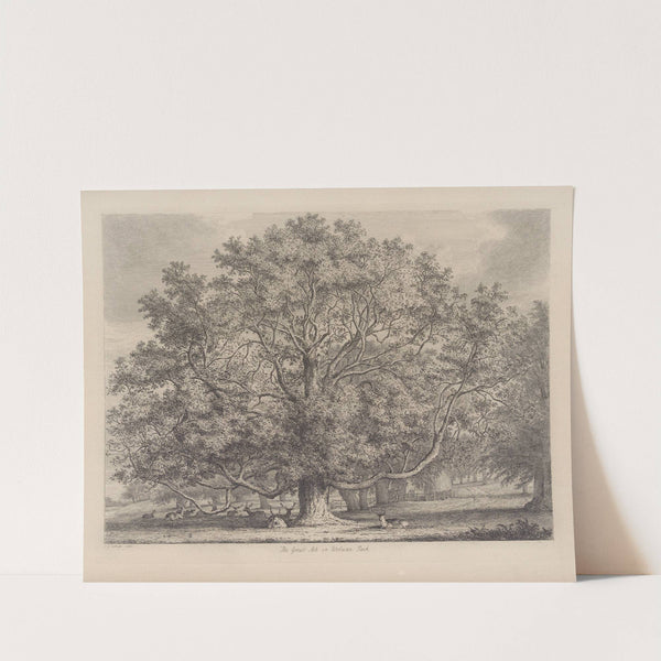 The Great Ash At Woburn by Jacob George Strutt