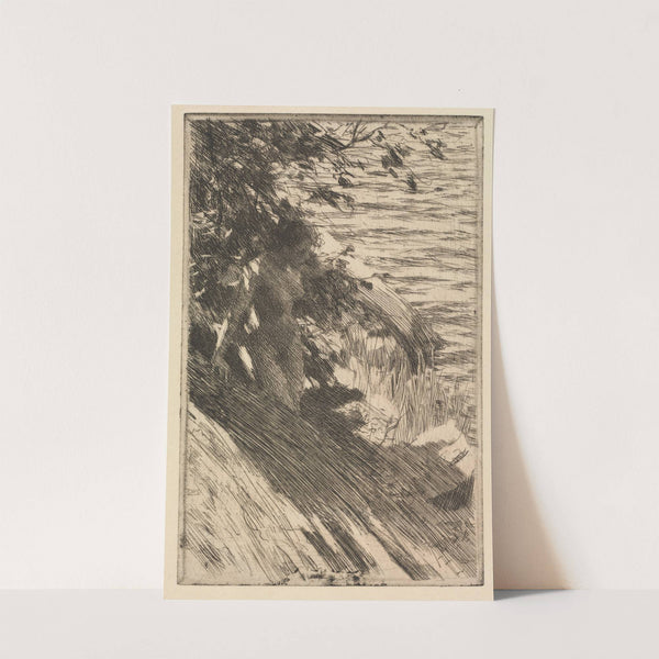 The Great Bather (1895) by Anders Zorn