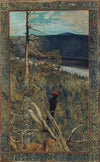 The Great Black Woodpecker