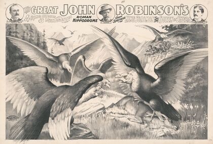 The great John Robinson’s 4 ring circus, 3 menageries, Roman hippodrome… King Solomon & the Queen of Sheba (1900) — size preview