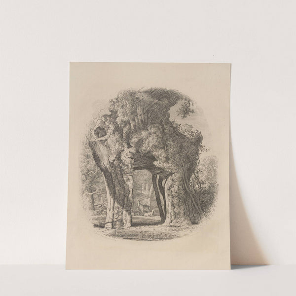 The Green-Dale Oak by Jacob George Strutt