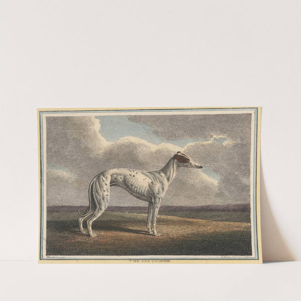 The Greyhound (1812) by Samuel Howitt