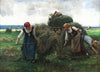 The Hay Harvester