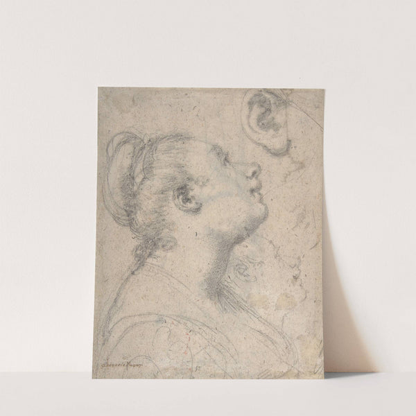 The Head and Shoulders of a Woman in Profile by Gregorio Pagani