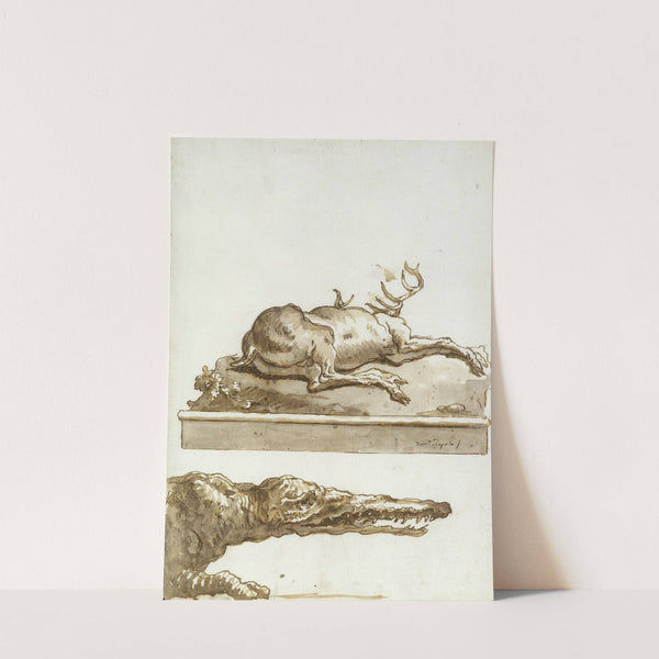 The Head of a Crocodile (after 1770) by Giovanni Domenico Tiepolo