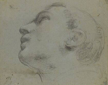 The head of a man turned to the left