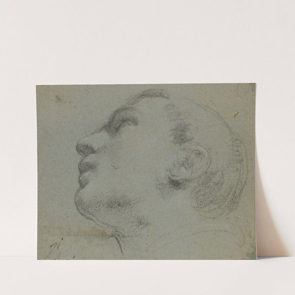 The head of a man turned to the left by Guercino