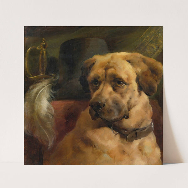 The Head Of A Mastiff by Edwin Douglas