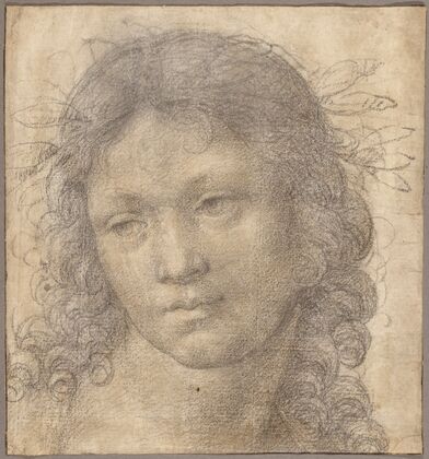 The Head of a Young Boy Crowned with Laurel