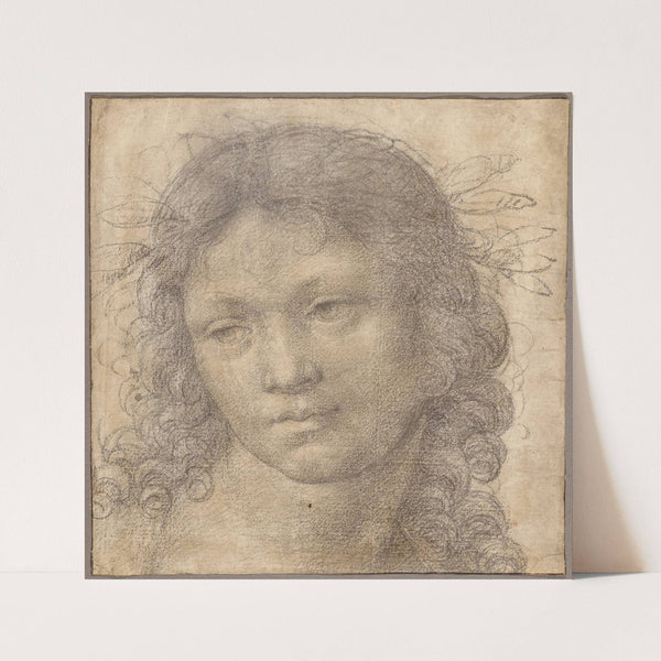 The Head of a Young Boy Crowned with Laurel (1500–1505) by Lorenzo di Credi