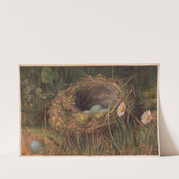 The Hedge sparrows mansion (1873) by C. Ryan