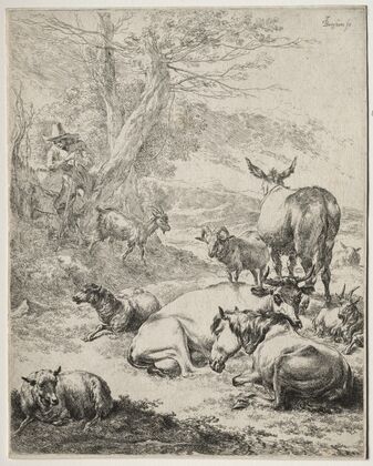The Herd at Rest (c. 1652)