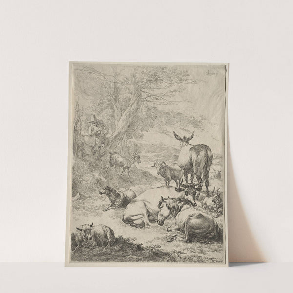 The Herd at Rest (c. 1652) by Nicolaes Pietersz. Berchem