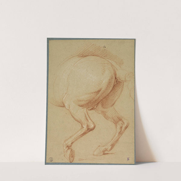 The Hind Legs of a Horse by Charles Le Brun