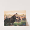 The Hippopotamus by Joseph Wolf