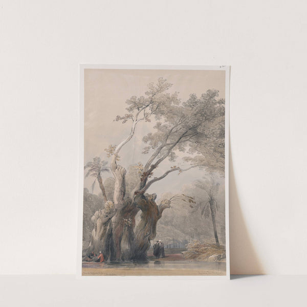 The holy tree of Metereah. (1846-1849) by David Roberts