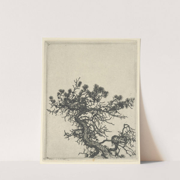 The Hunchback (1900-1925) by Ernest Haskell