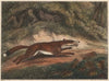 The Hunted Fox (1812)