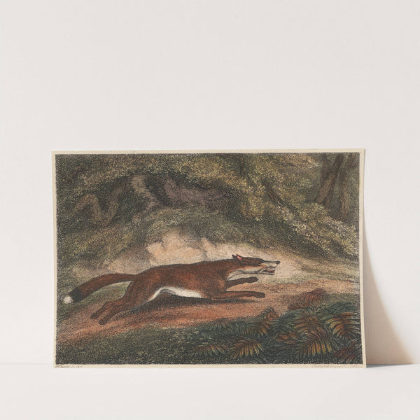The Hunted Fox (1812) by Samuel Howitt