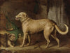 The Hunting Hound