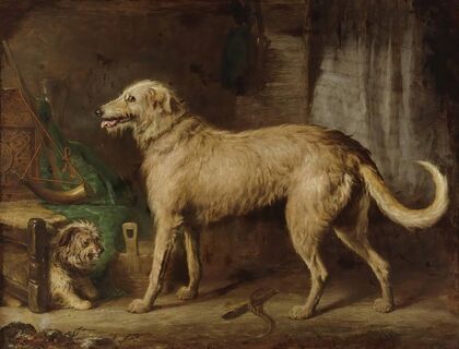 The Hunting Hound