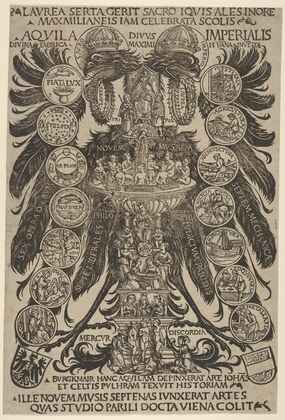 The Imperial Eagle (Aquila Imperialis) (1507)