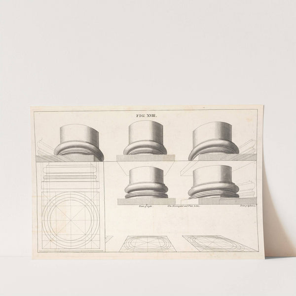 The Ionick base in perspective. by Andrea Pozzo
