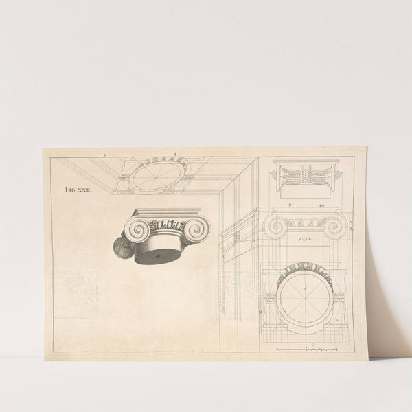 The Ionick capital in perspective. by Andrea Pozzo