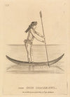 The Iris